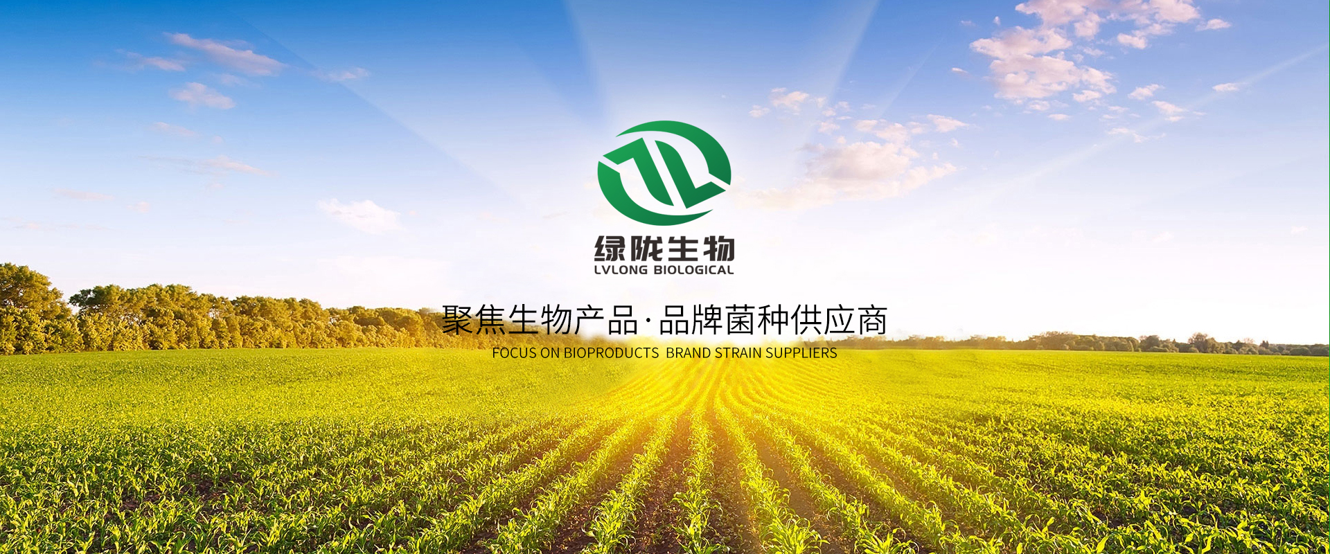 山東綠隴生物技術(shù)有限公司